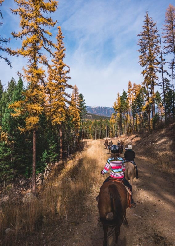 Six horseback riders on a trail among green and yellow trees