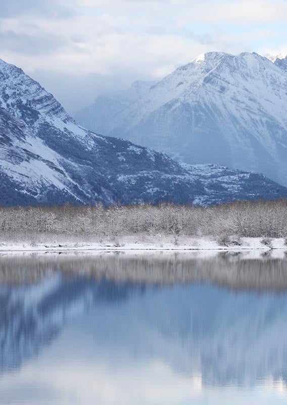 Three deer foraging on a snow covered lake shore, surrounded by snow covered peaks.