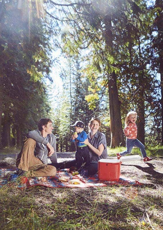 A family picnics under evergreen trees and sunbeams.