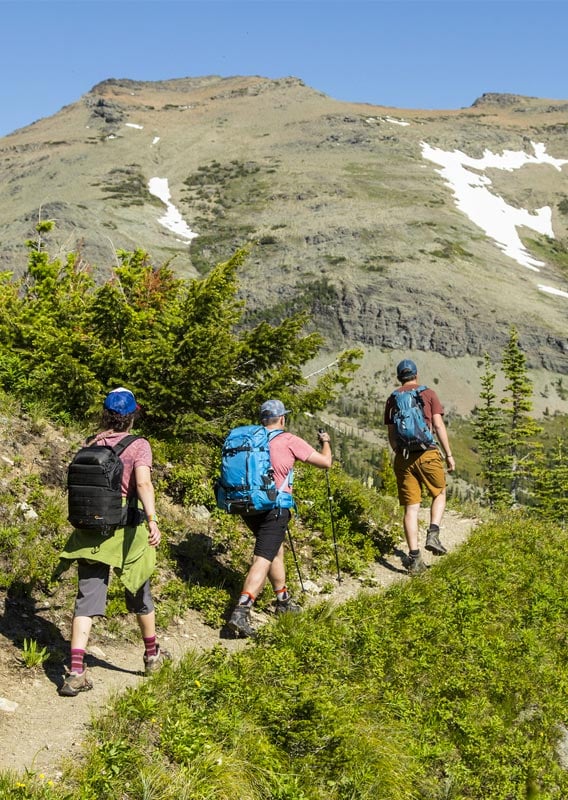 Three hikers walk on a trail past small trees, looking towards rocky peaks.