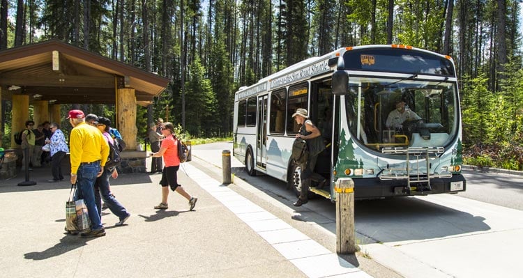A group of people get off a shuttle bus by a shelter in a forest.