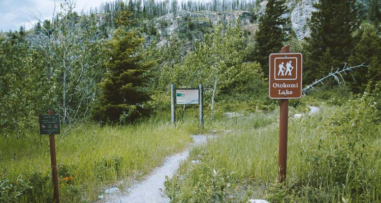 The trailhead sign for Otokomi Lake stands by a trail, heading into a forest