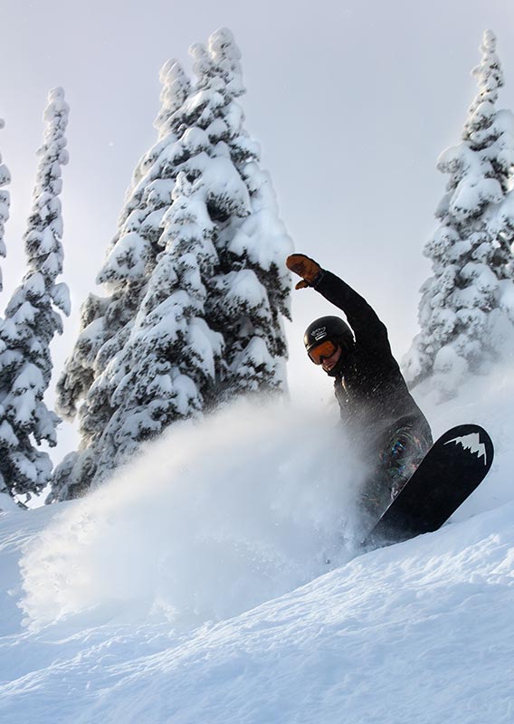 A snowboarder kicks up a spray of powder snow on a tree-covered mountain slope.