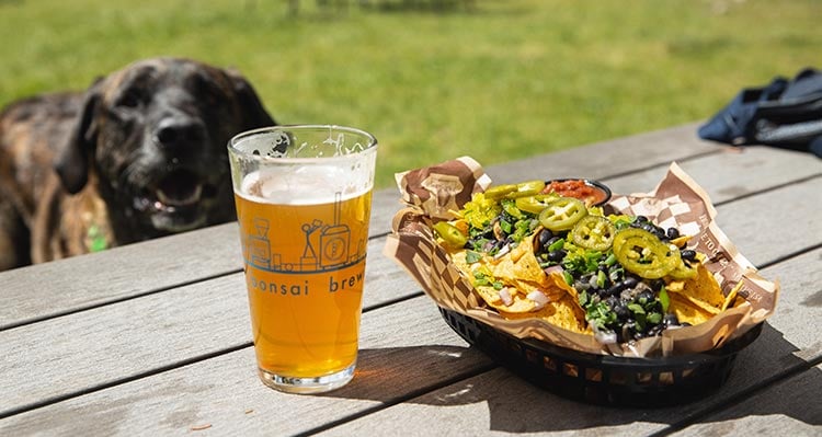 A pint glass of beer and a plate of nachos on a picnic table.