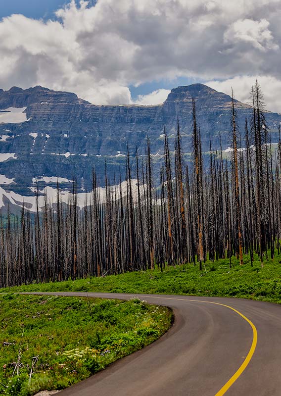 A view down a narrow road below tall mountains. The remains of a forest fire.