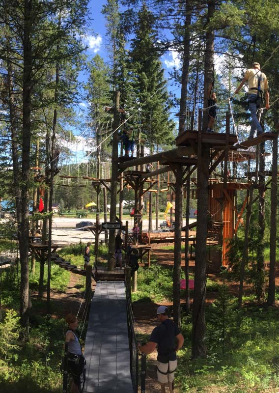 A series of high platforms with people walking between them nestled among trees.