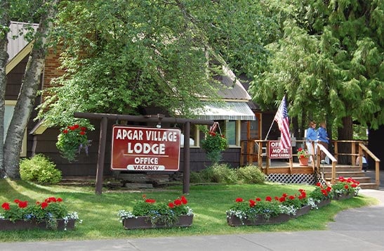 A motel office building nestled below tall trees.