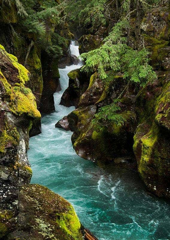 A blue river rushes through moss and lichen covered rocks