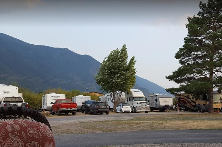 A row of RVs parked in an RV park.