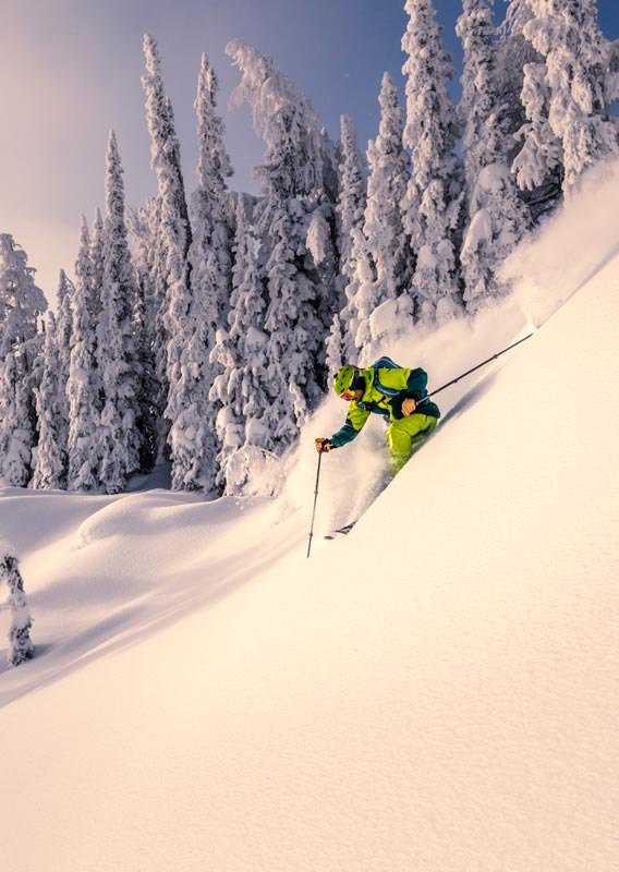 A skiier in a green outfit on a fresh mountainside with many snow-covered trees behind them