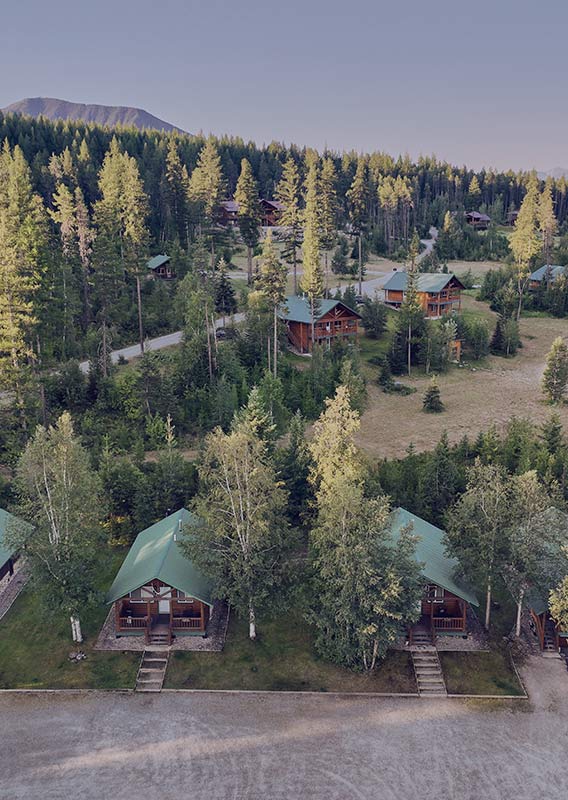 An aerial view of green roof wooden cabins nestled among tall trees.