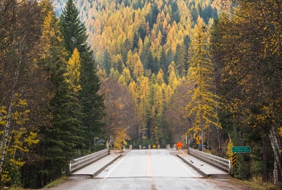 A road leads towards a forested mountainside.