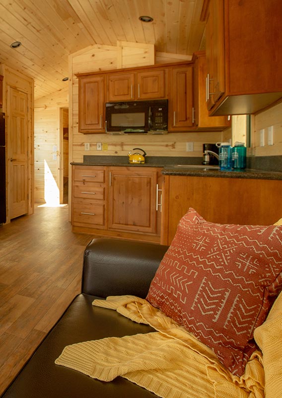 interior of a cabin with leather sofa and kitchen and dining in background