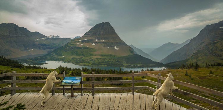 Hidden Lake View Point