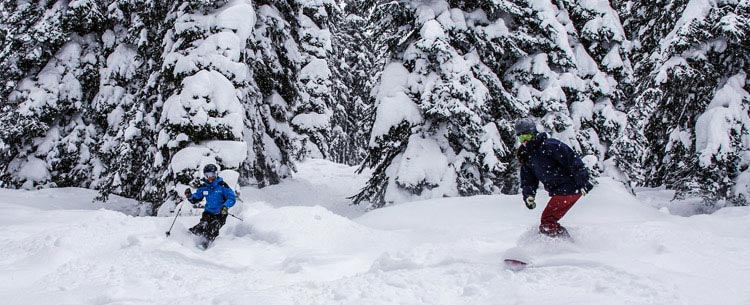 Skiing between the trees