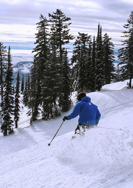 A skiier making a turn on a snowy mountainside with pine trees all around