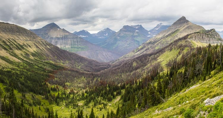 A wide valley with burnt trees