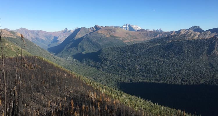 A burnt mountainside in contrast with forest-covered mountains