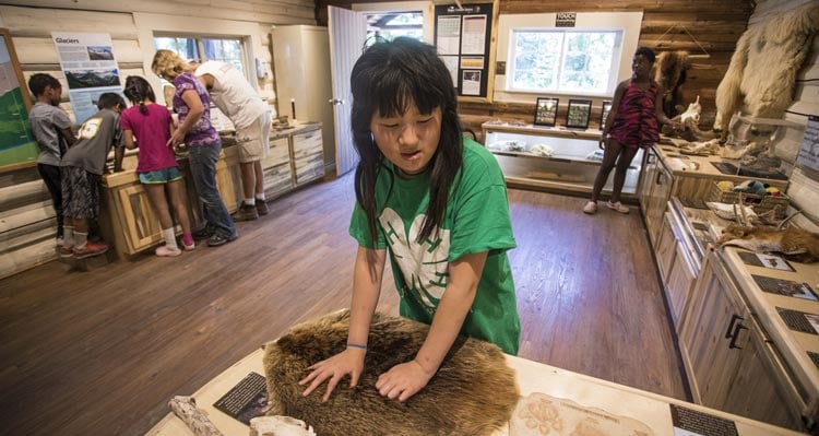 A child investigates a beaver pelt in a busy nature center