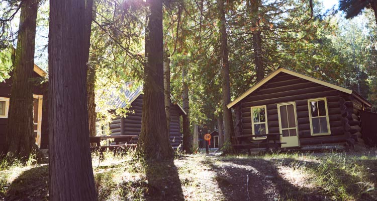 Three cabins underneath trees, with sunshine glowing between branches.