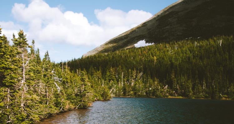 A calm mountain lake with a wooded shoreline