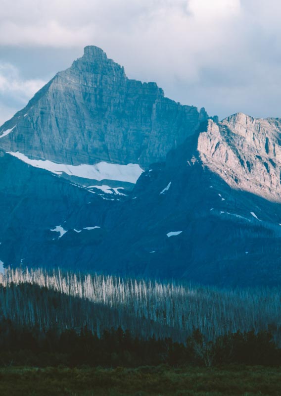 Tall mountain cliffsides tower over a forest.