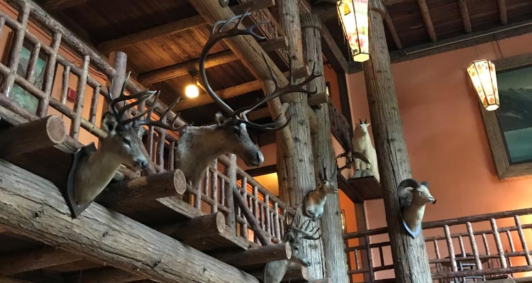 Animal trophies adorn a wooden lodge lounge.