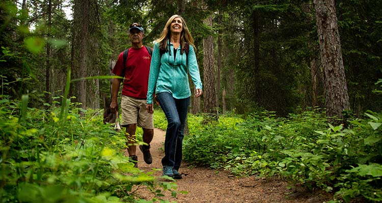 Two people walk through a forest.