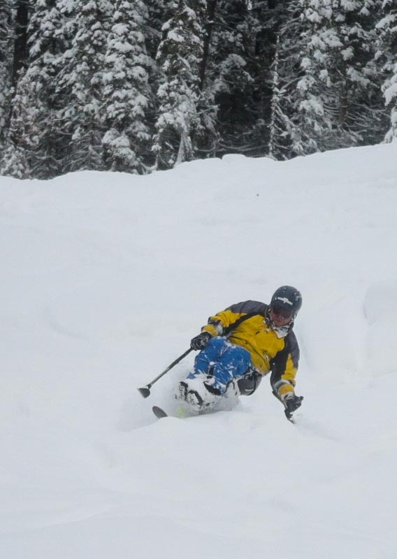 A skier in a sit-ski glides down a snowy slope.