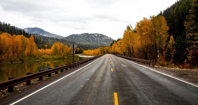 An road parts through a forest of orange and green trees on mountainsides.