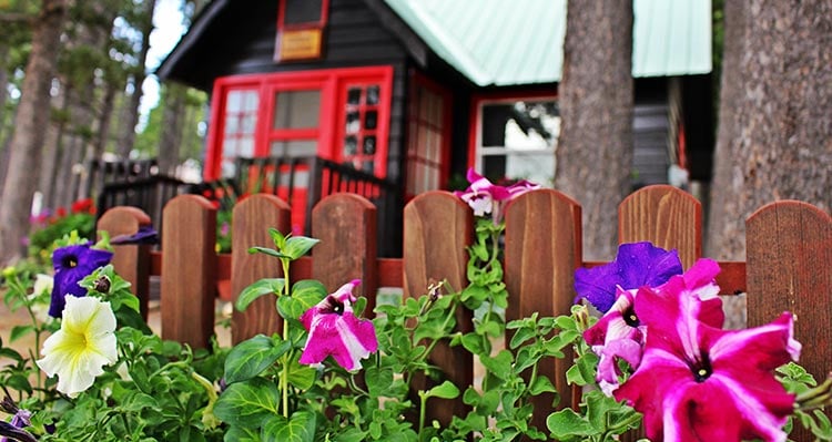 A colorful flowerbed in front of a wooden fence and cabin.