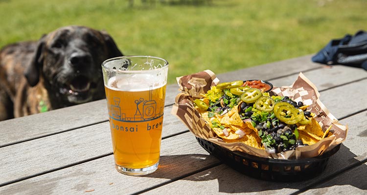 A pint glass of beer and a plate of nachos on a picnic table.