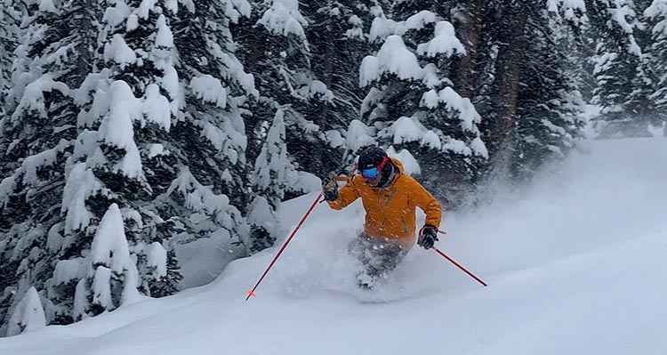 A skiier moved through deep powder snow next to snow covered trees.