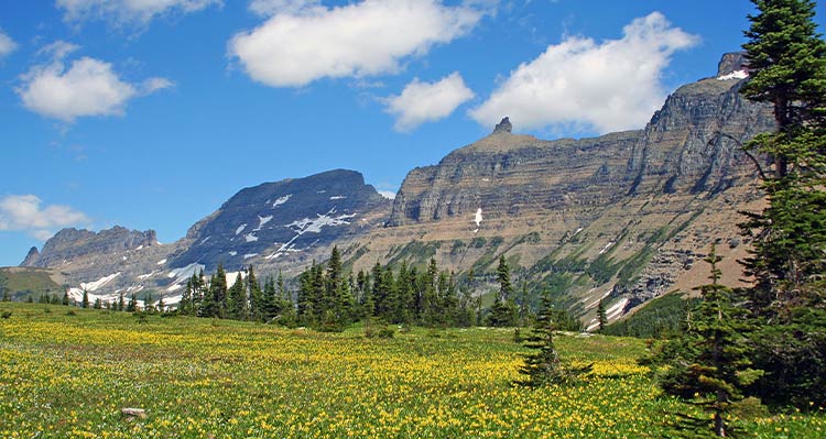 A meadow below high mountains.