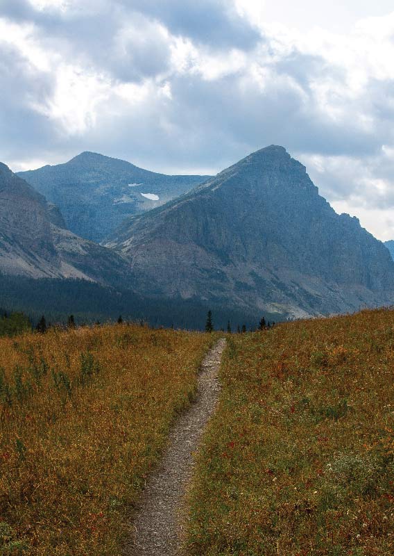 Hiking trail leading into the mountains