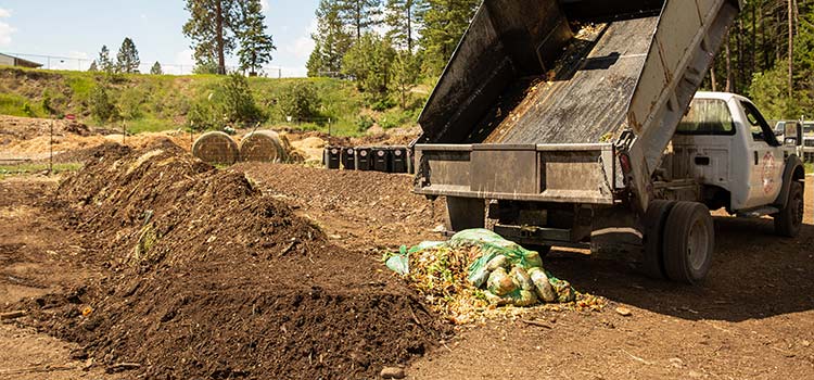 A pile of compost that has just been dumped from a truck