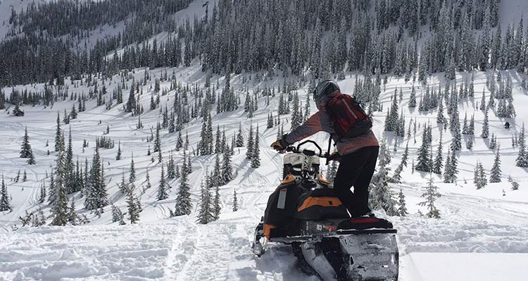 A snowmobiler rides in a snowy meadow below forested mountiansides.