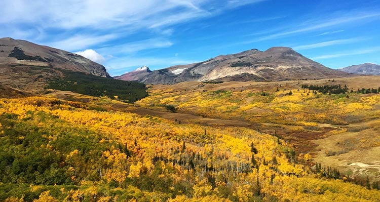 A forest of fall colours and mountains behind.