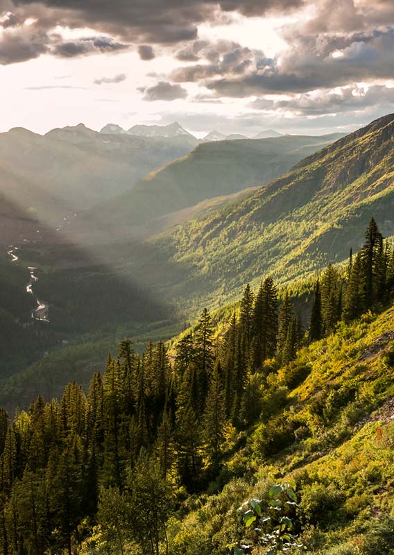 A valley of trees and mountains is seen with sunbeams in the sky