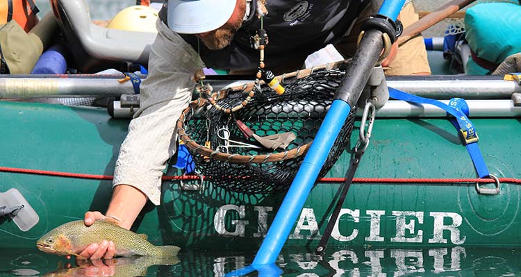 A man reaches over the ride of a boat and grabs a fish with his hand