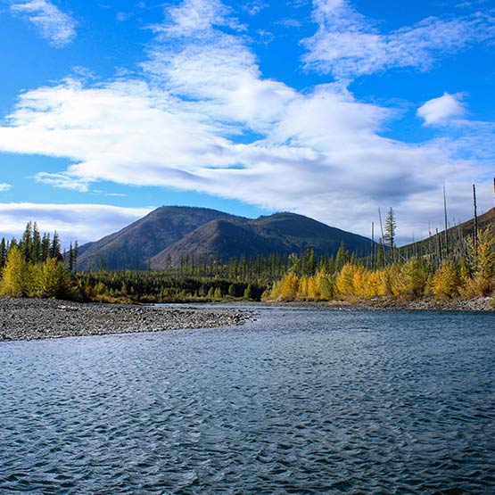 An empty river and bank on a sunny day.