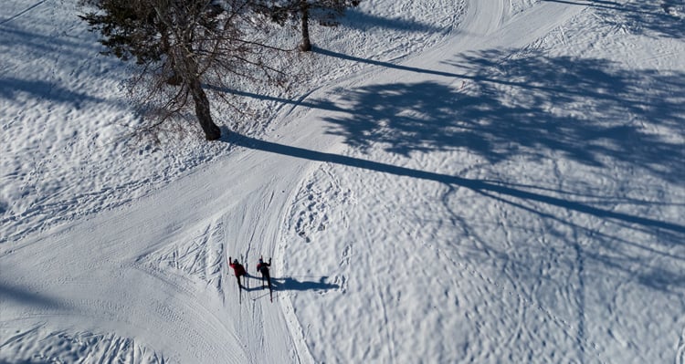 A pair of people cross-country skiing