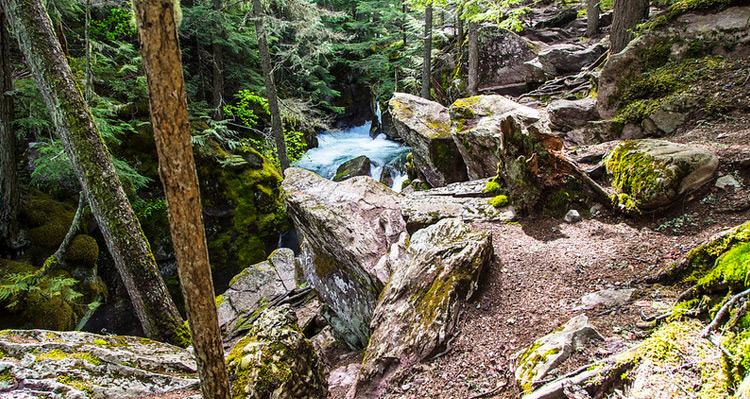 Avalanche Lake Trail during the summer months.