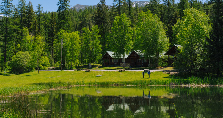 A row of cabins surrounded by trees, along the water at Paddle Ridge.