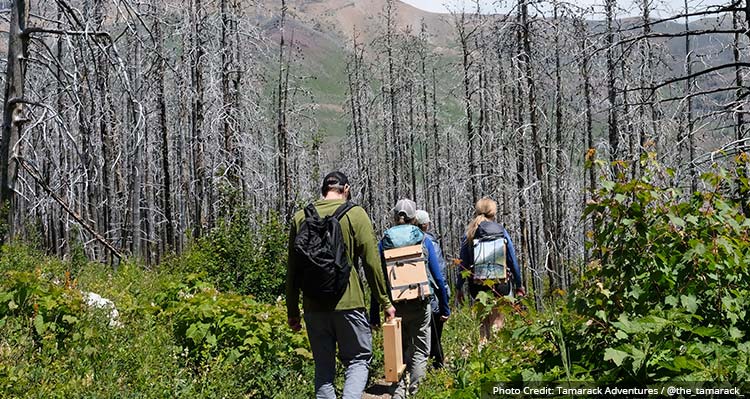 A group of hikers.