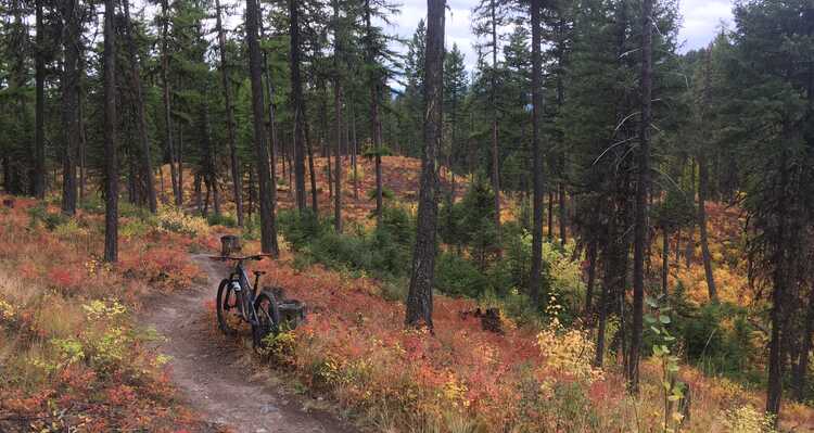 Mountain bike parked at Whitefish Trail