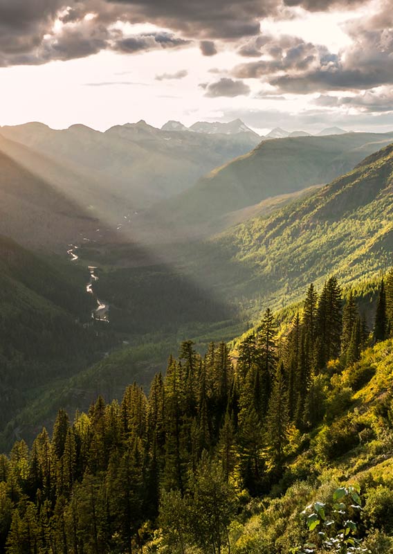 Going to the Sun Road at sunset with light streaming over the mountains.
