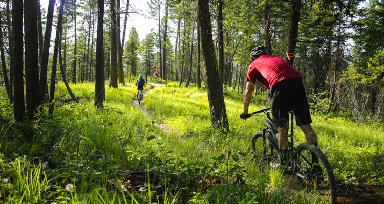 Three cyclists riding down a forest trail in Whitefish, Montana.